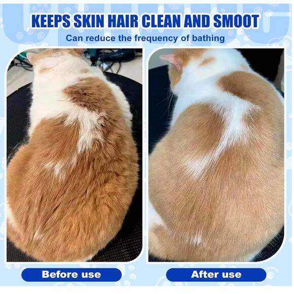 4-in-1 Cat Steam Brush & Spritz Defur Comb for Indoor Cats - Picture 3 of 4